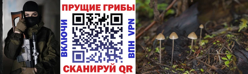 Галлюциногенные грибы Magic Shrooms  как найти закладки  Кохма 